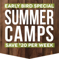 Early Bird Special