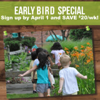 Early Bird Special