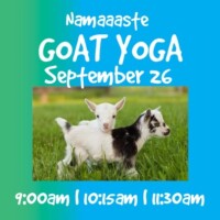Goat Yoga